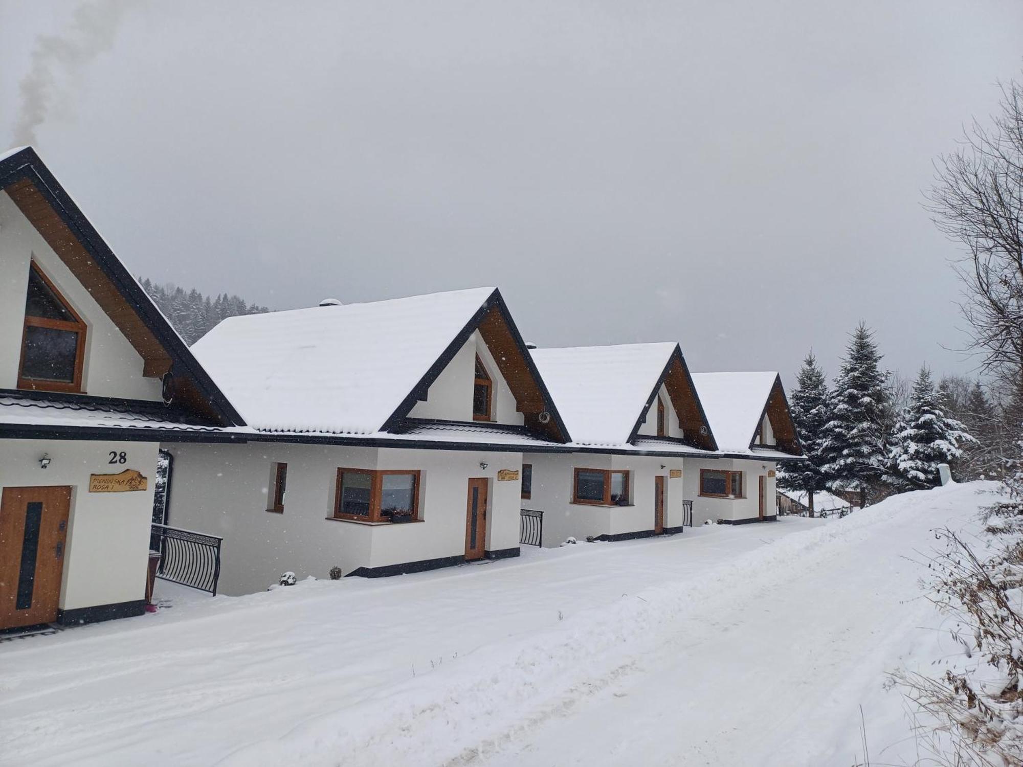 Pieninska Rosa Villa Kroscienko nad Dunajcem Luaran gambar